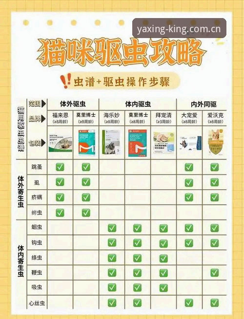 亚星游戏官网新手操作指南：从下载到使用的完整流程